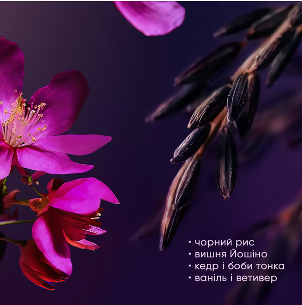 Набор подарочный Rituals The Ritual Of Yozakura A Love Affair 2-step routine 0000000023379 фото
